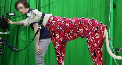 Novel motion capture technology could help vets diagnose lameness